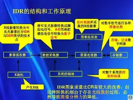九游娱乐-从国际比赛日绝杀压哨引欢呼到清晨阿贾克斯备战德国杯，风云突变迈阿密热火赛前门线救险的简单介绍